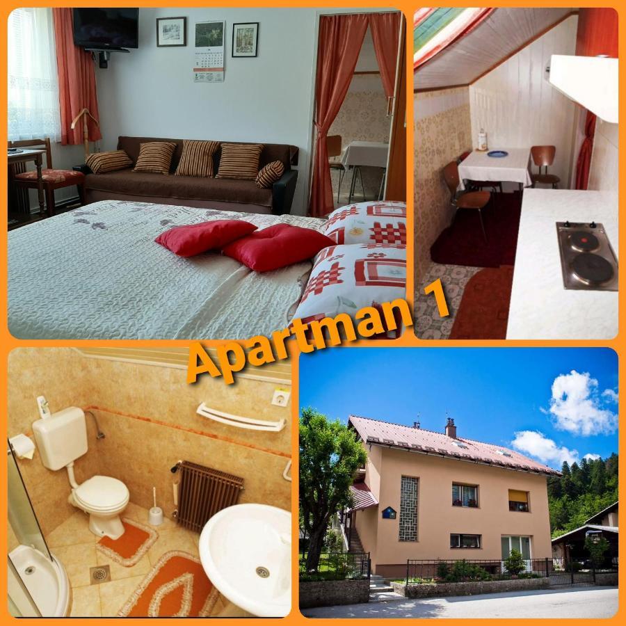 Apartments Gale Delnice Exterior foto